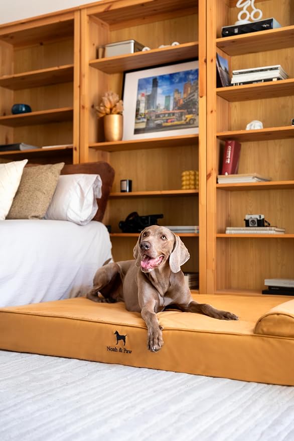 NOAH & PAW Giant Dog Bed XXL 55x45x9.5 Inch, Orthopedic Dog Beds, Eggshell Memory Foam Infused with Cooling Gel, Water Resistant, Machine Washable, Includes Inner Cover (Faux Leather)