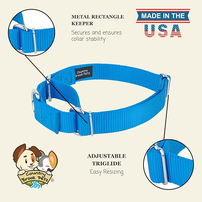 Country Brook Petz - Martingale Dog Collar - Heavy-Duty Training Collar with No Buckle - Service Dog Collar for All Pups - 20 Vibrant Colors (Ice Blue, 1 Inch, Large)