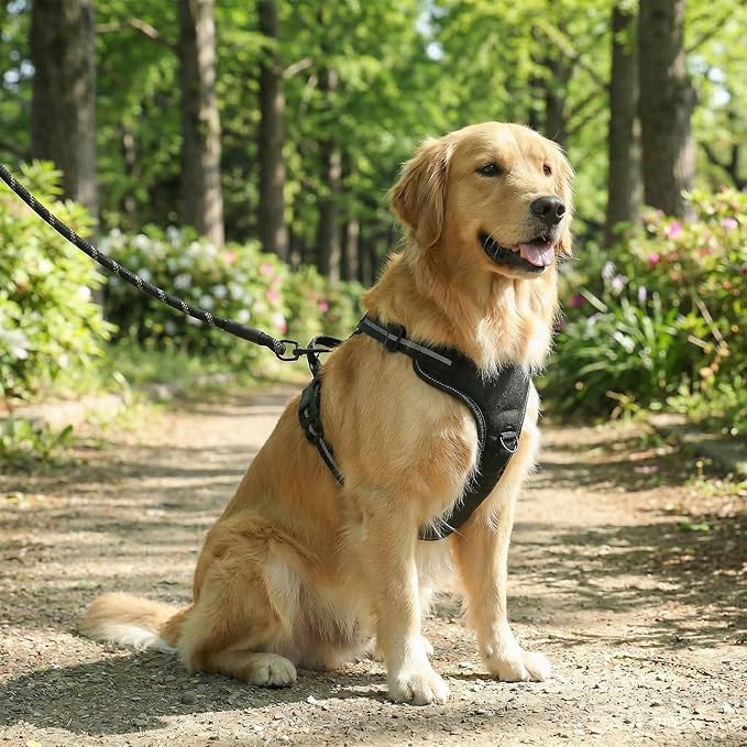 Amazon Basics No-Pull Dog Harness, Soft Padded Adjustable Vest with Reflective Stripes, Sturdy, X-Large, Black