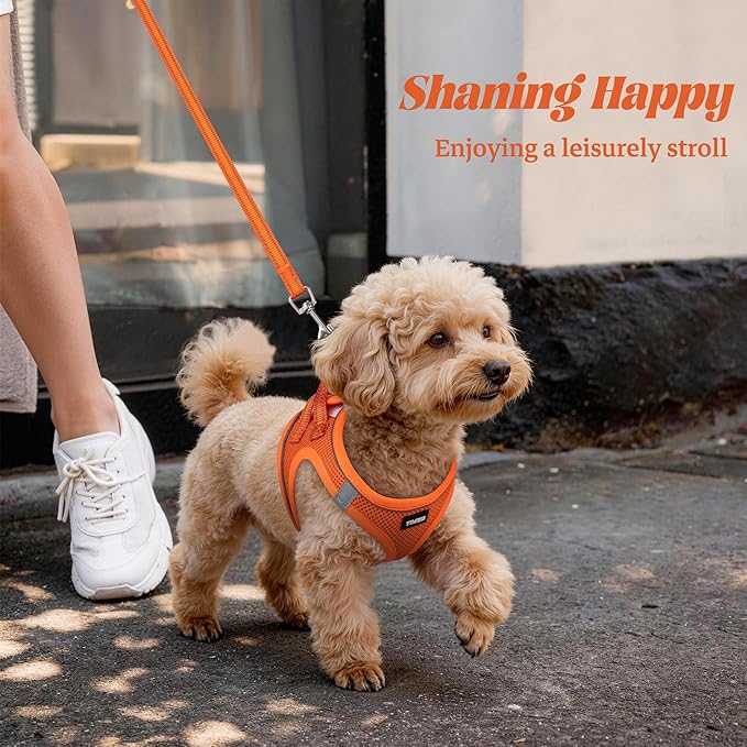 YIMEIS Dog Harness and Leash Set, No Pull Soft Mesh Pet Harness, Reflective Adjustable Puppy Vest for Small Medium Large Dogs, Cats (Orange01, Small (Pack of 1)