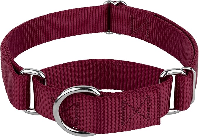 Country Brook Petz - Martingale Dog Collar - Heavy-Duty Training Collar with No Buckle - Service Dog Collar for All Pups - 20 Vibrant Colors (Burgundy, 1 Inch, Medium)