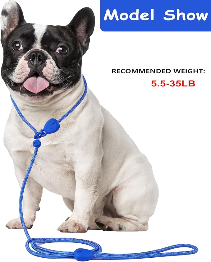 D Blue 6FT Slip Lead - Heavy Duty No Pull Dog Training Leash, Comfortable Rope Leash for Small to Medium Dogs