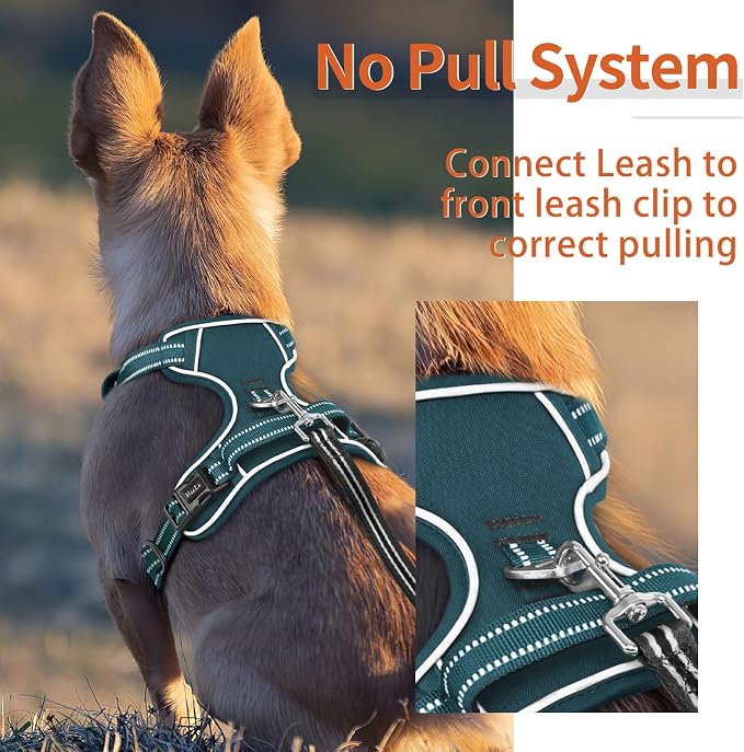 HEELE Dog Harness for Small Dogs No Pull Dog Vest Harness for Small Dog with Soft Padded Handle Reflective for Outdoor Training, Blackish Green, S