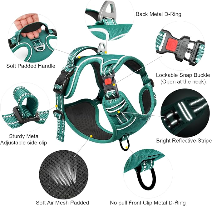 Timos Dog Harness Large Sized, No Pull Pet Harness with Neck Lockable Snap, No Choke Front Clip Reflective Vest, Adjustable Metal Rings 3 Buckles, Easy Control Handle for Large Dogs Grass Green L