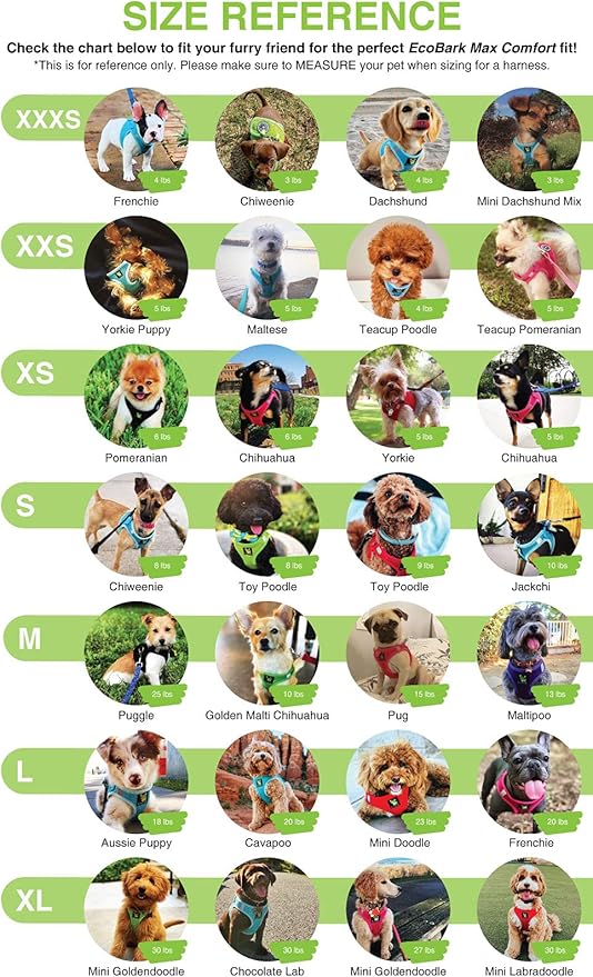EcoBark Step in Dog Harness - Eco-Friendly Teacup Dog Harnesses for XXS, XS, and Small Dogs - Reflective and Adjustable Mini Body Halter Vest -Tiny Soft Mesh - Toy Breeds Under 5 lbs (Baby Blue, XXS)