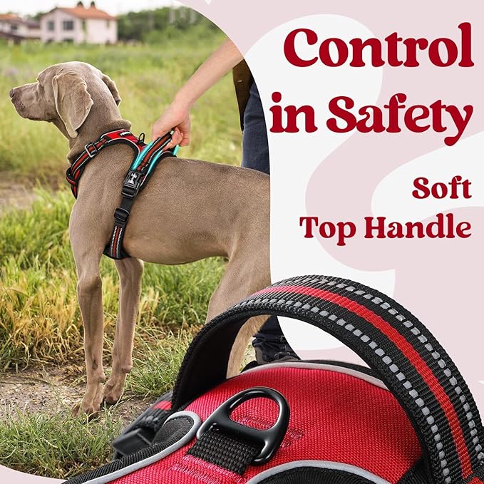 rabbitgoo Dog Harness for Large, No Pull Easy On & Off with 3 Buckles Pet Harness, Adjustable Soft Walking Vest with 2 Clips and Handle, Reflective for Large Dogs, Red, L