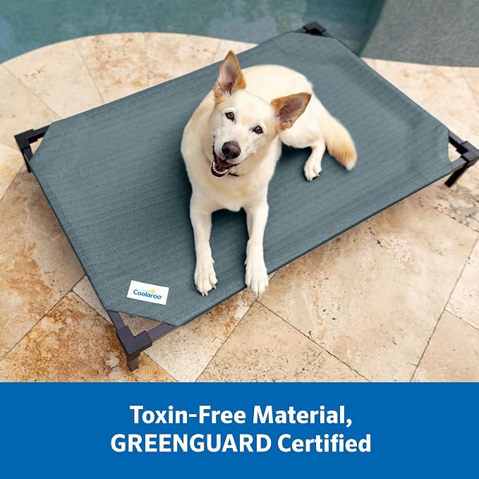 Coolaroo Pro Elevated Dog Bed with HeatShield Fabric – Advanced Cooling Raised Cot for Small & Medium Breeds, Easy-Clean, Low-to-Ground Access, Bonus Bolster Pillow – Glacier Grey