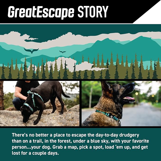 Wolfgang Heavy Duty, Adjustable Dog Collar with Quick Release Nylon Buckle for Walking & Training, GreatEscape Print, Medium