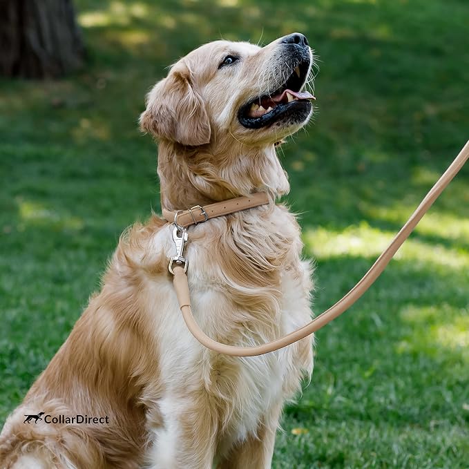 CollarDirect Rolled Leather Dog Collar, Soft Padded Round Puppy Collar, Handmade Genuine Leather Collar Dog Small Large Cat Collars 13 Colors (8-11 Inch, Beige Textured)