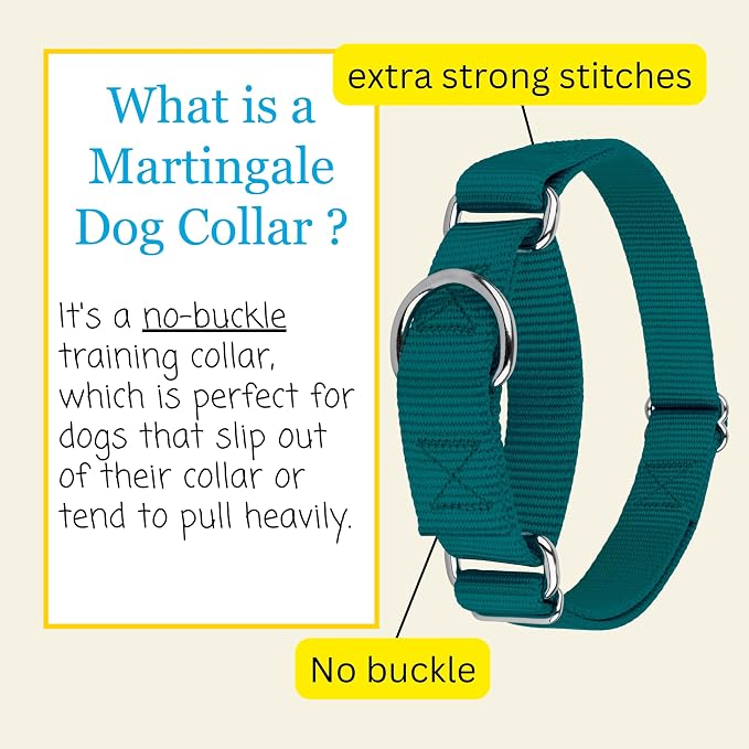 Country Brook Petz - Martingale Dog Collar - Heavy-Duty Training Collar with No Buckle - Service Dog Collar for All Pups - 20 Vibrant Colors (Teal, 3/8 Inch, 3XS)