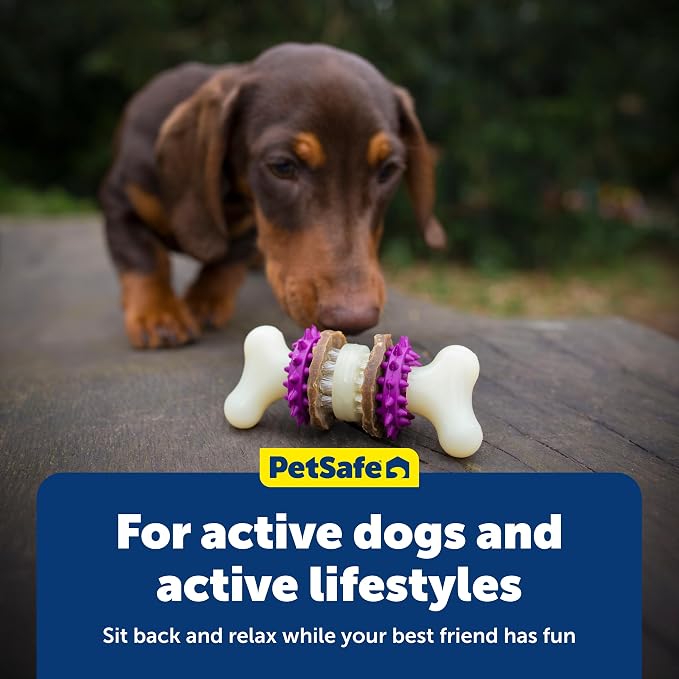PetSafe Busy Buddy Bristle Bone Dog Chew Toy - Treat Holding Toothbrush Toy for Hard Chewers - Helps Keep Your Dog's Teeth Clean - Durable, Interactive - Purple, Small
