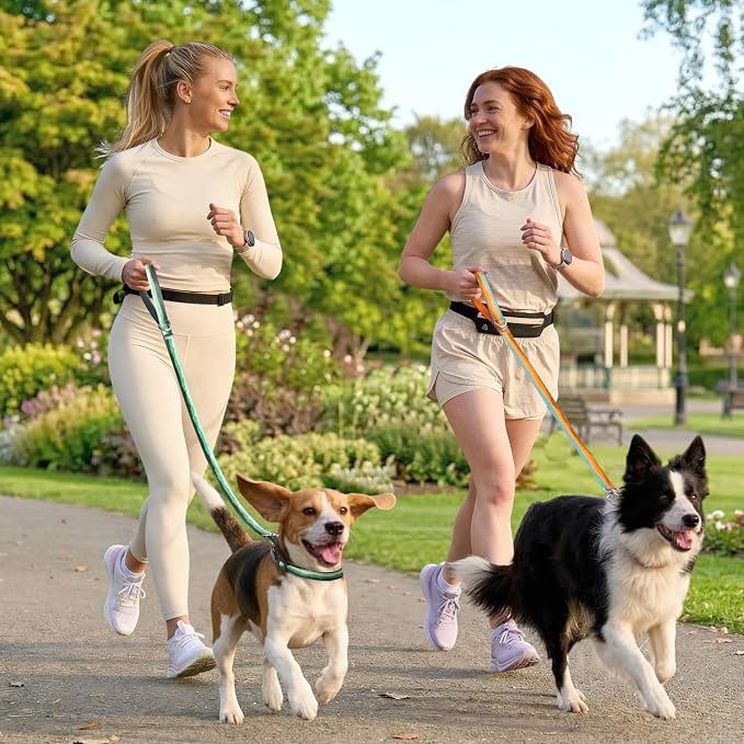 Double Handle Dog Leash 5FT – Heavy Duty Nylon Flat Leash with Traffic Handle & Safety Lock Clip,Colorful Durable Walking Lead for Small Medium Large Dogs Training & Daily (Forest Mist)