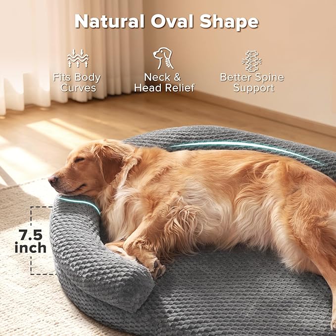 JOEJOY Orthopedic Dog Bed Medium Size Dogs, Waterproof Washable Oval Dog Beds with Removable Cover, Egg-Crate Memory Foam Pet Bed with Bolster Sides & Non-Skid Bottom, Dark Grey, 28''x20''