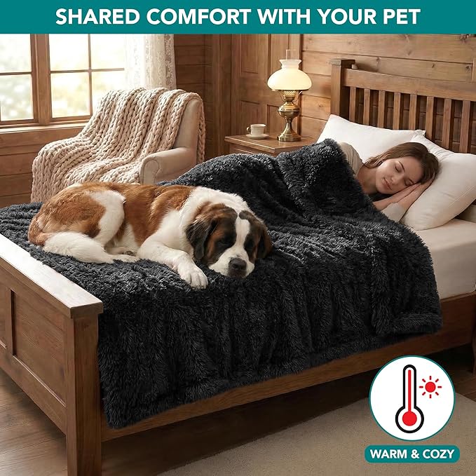 PetAmi Fluffy Waterproof Dog Blanket for Couch and Bed, Reversible Sherpa Pet Throw, Pee Proof Furniture Protector Sofa Cover, Washable Cat Blanket for Medium Large Dogs and Cats (Black, 60x80)