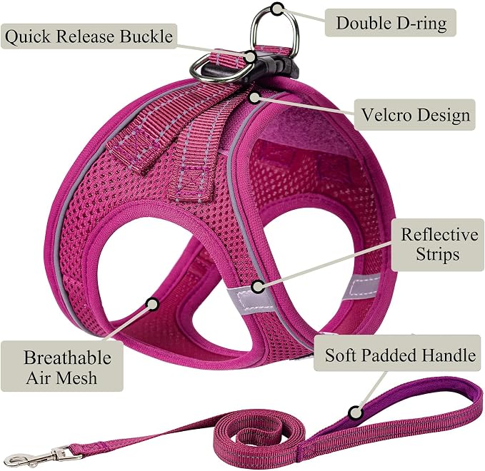 Dog Harness with Leash Set, No Pull Adjustable Reflective Step-in Puppy Pet Vest Harnesses for Small Medium Large Dogs and Cats,Rose Red M