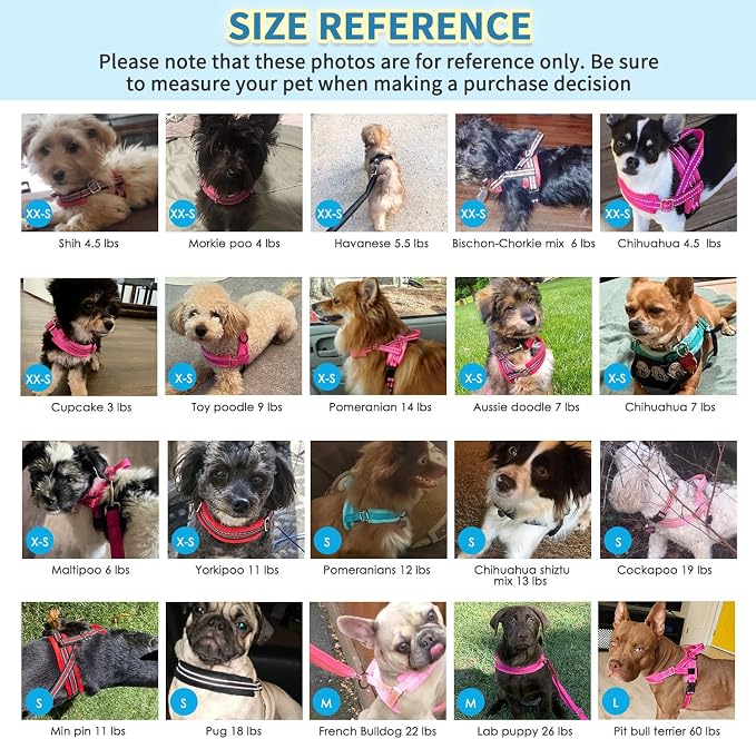 SlowTon No Pull Small Dog Harness and Leash Set, Puppy Soft Vest Harness Neck & Chest Adjustable, Reflective Lightweight Harness & Anti-Twist Pet Lead Combo for Small Medium Dogs (DB-Front Clip, XS)
