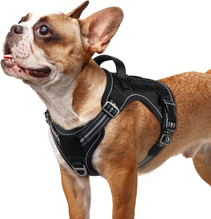 rabbitgoo Tactical Dog Harness for Small Dogs No Pull Adjustable Military Vest with Handle MOLLE Reflective Heavy Duty Dog Vest for Walking Training Hunting Outdoor Working Medium Size Dog Black S