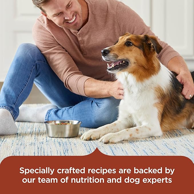 Nutrish Rachael Ray Wet Dog Food Hearty Beef Stew, 8 oz. Tub, 8 Count