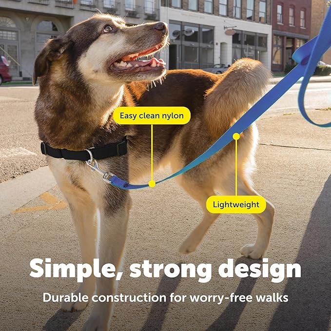 PetSafe Nylon Dog Leash Strong, Durable, Traditional Style Lead with Easy to Use Bolt Snap for Small, Medium and Large Dogs 3/4" x 6', Royal Blue