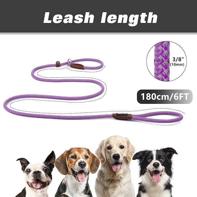 PetiFine Slip Lead, 6FT x 3/8" Reflective Durable Dog Training Leash, Heavy Duty Adjustable Nylon Dog Rope Leash for Small to Large Dogs (Purple)