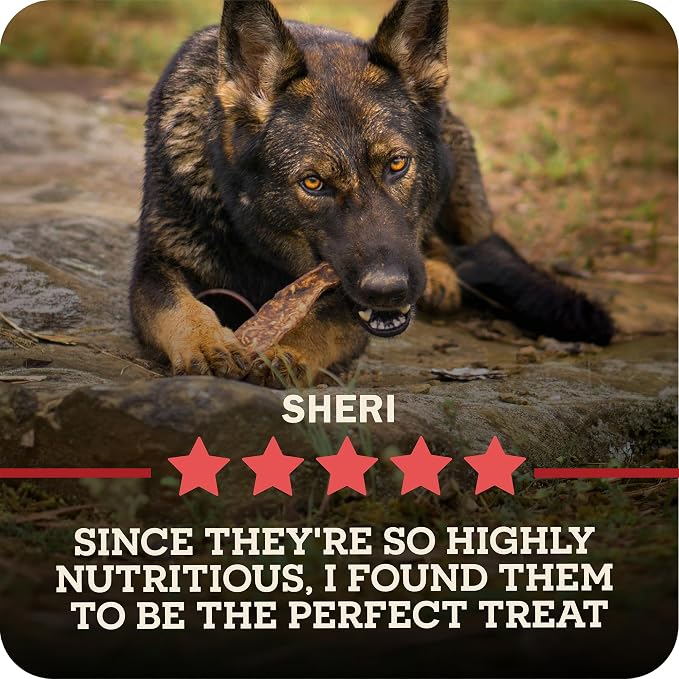 Redbarn Pet Products All-Natural Rawhide Bully Slices - Bully Stick Flavor - Premium Grain-Free Beef Hide Treats High Protein Low Fat for Chewers - 9 oz Bag