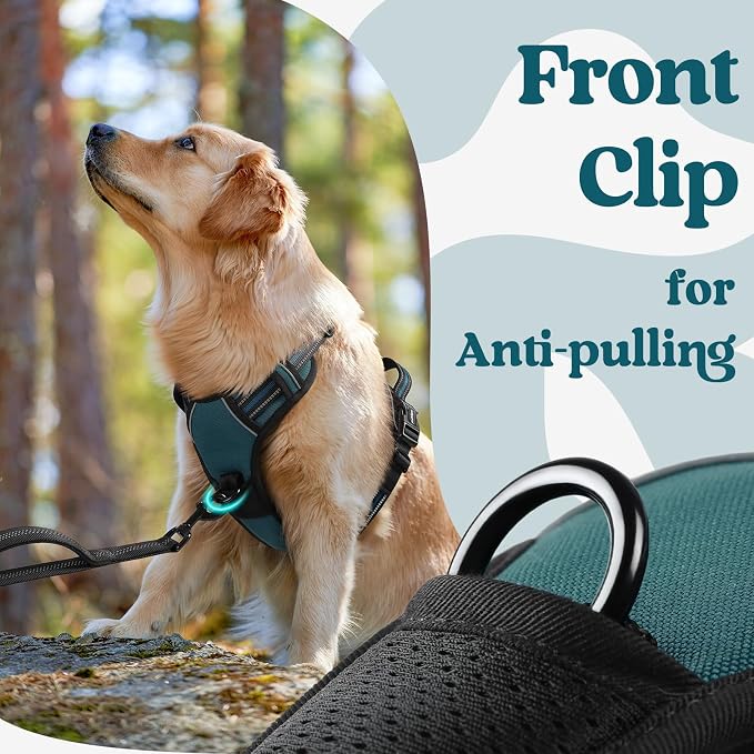 rabbitgoo Dog Harness Small Sized, No Pull Easy On & Off with 3 Buckles Pet Harness, Adjustable Soft Walking Vest with 2 Clips and Handle, Reflective for Small Dogs, Blue Coral, S