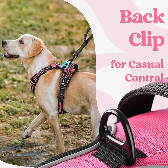 rabbitgoo Dog Harness Small Sized, No Pull Easy On & Off with 3 Buckles Pet Harness, Adjustable Soft Walking Vest with 2 Clips and Handle, Reflective for Small Dogs, Rose Pink, S