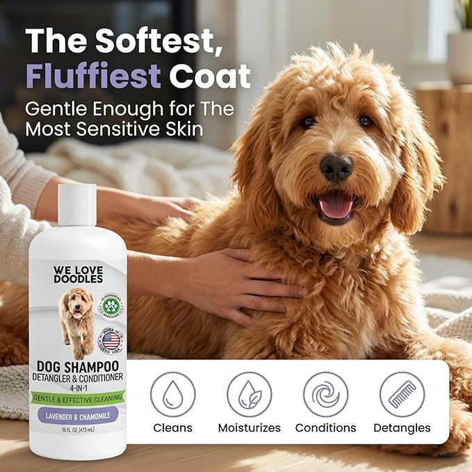 Dog Shampoo and Conditioner & Detangler - Best Goldendoodles, Poodles & Doodle Shampoo for Smelly Dogs - Sensitive Skin Puppy Shampoo - Made in The USA, Goldendoodle Must Haves (Shampoo & Conditioner)