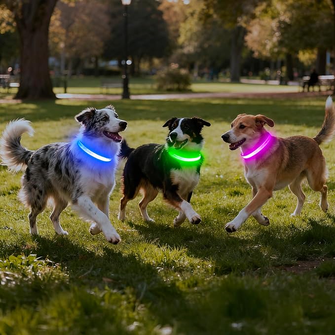Vizpet LED Dog Collar, Light Up Dog Collar Adjustable USB Rechargeable Super Bright Safety Light Glowing Collars for Dogs(Large,Green)