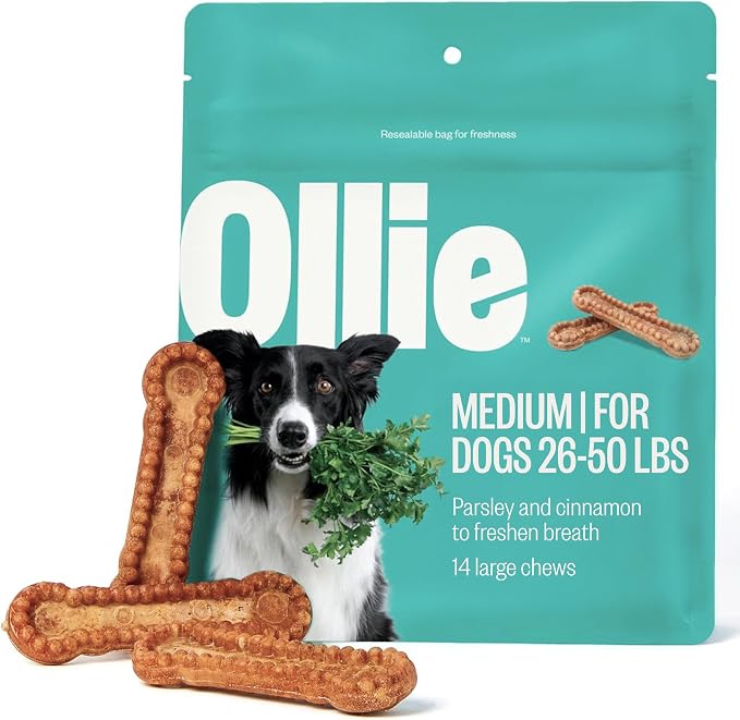 Ollie Dental Chews for Medium Dogs, 12 Oz, Fresh Breath, Teeth Cleaning Treats, Sticks for Dog Oral Care, with Parsley and Cinnimon, for Pups 26-50 lbs
