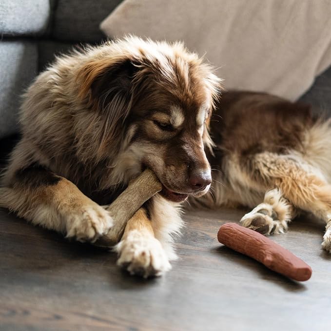 Dogwood Mesquite Dog Chew Toy – Real-Wood Blend, Moderate Chewers, Medium, 7.5", 2-Pack (Natural & Mesquite Flavors)