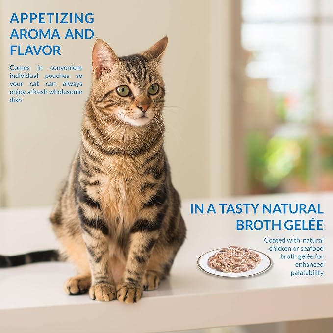 INABA Twin Packs for Cats, Side Dish/Topper Pouch, 1.4 Ounces per Serving, 16 Servings, Chicken Recipe in Chicken Broth (Pack of 2)