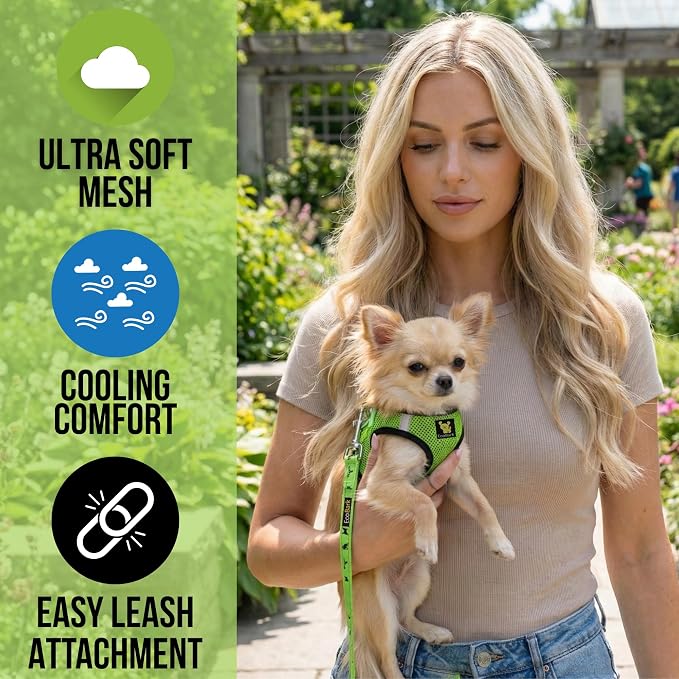 EcoBark Teacup Dog Harness- Luxury Soft Step in Dog Harness for Tiny Dogs & Puppies (Neon Green, XXXS)