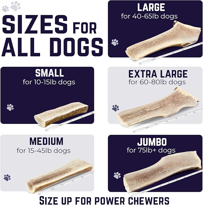 Devil Dog Pet Co. Split Elk Antlers for Dogs, Natural Dog Chew with Exposed Marrow - Long Lasting and Odor Free - USA Sourced - Cleaner Teeth, Anxiety & Boredom Relief - Small 4"+ 2 Pack