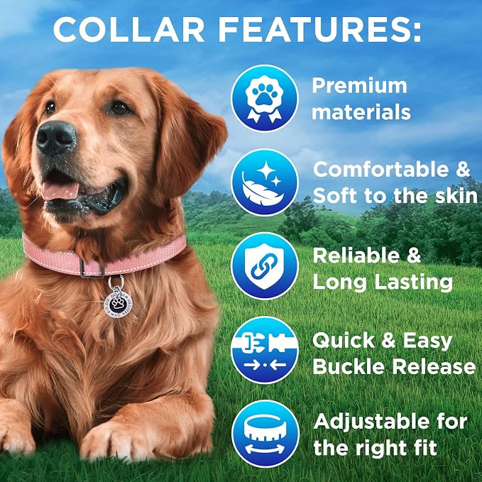 TECEUM Reflective Dog Collar – Pink – M – Extra Soft Padding – Basic Nylon Pet Collar – Quick Release Buckle – Fits Small, Medium and Large Dogs, Puppies, Cats – ESA & Service Dog Options