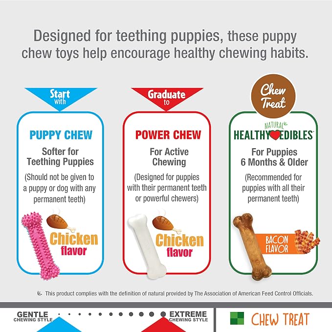 Nylabone Puppy Chew Toys & Natural Treat Triple Pack, Puppy Enrichment Teething Toys, Pink, Chicken & Bacon Flavor, Small Dogs - Up to 25 Ibs, 3 Pack