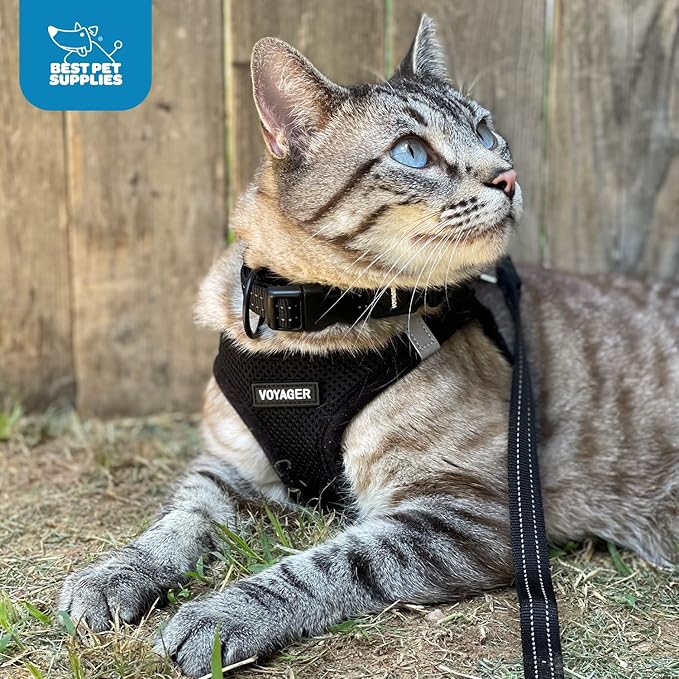 Best Pet Supplies - All Weather Mesh / Plush, Reflective, No Pull Harness for Small, Medium Dogs, Cats - Secure with Hook & Loop Fastener, Buckle, Double D-Rings - Black/Black Trim, XL