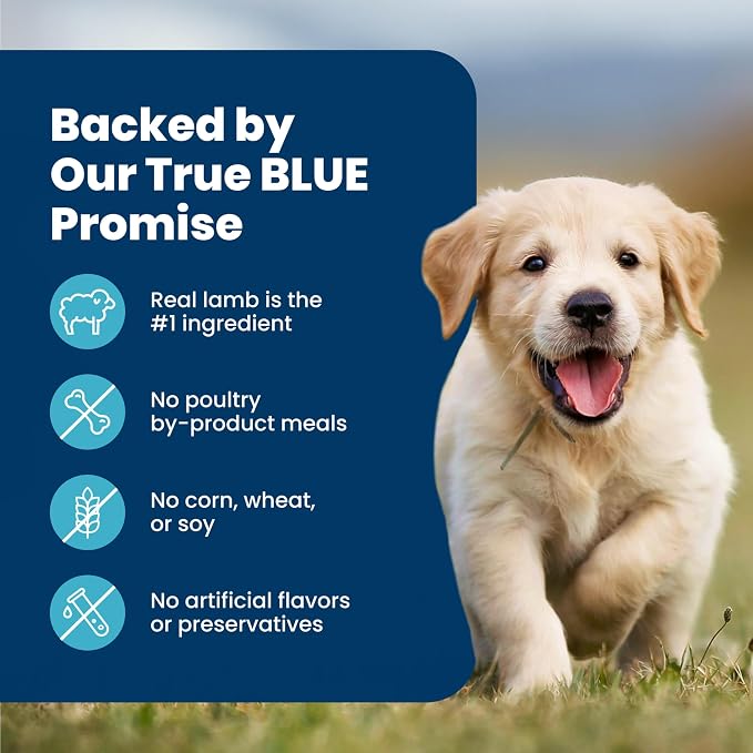 Blue Buffalo Life Protection Formula Lamb & Oatmeal Puppy Dry Dog Food with DHA & ARA, Supports Immunity with Antioxidant-Rich LifeSource Bits, Promotes Healthy Muscles & Strong Bones, 34 lbs.