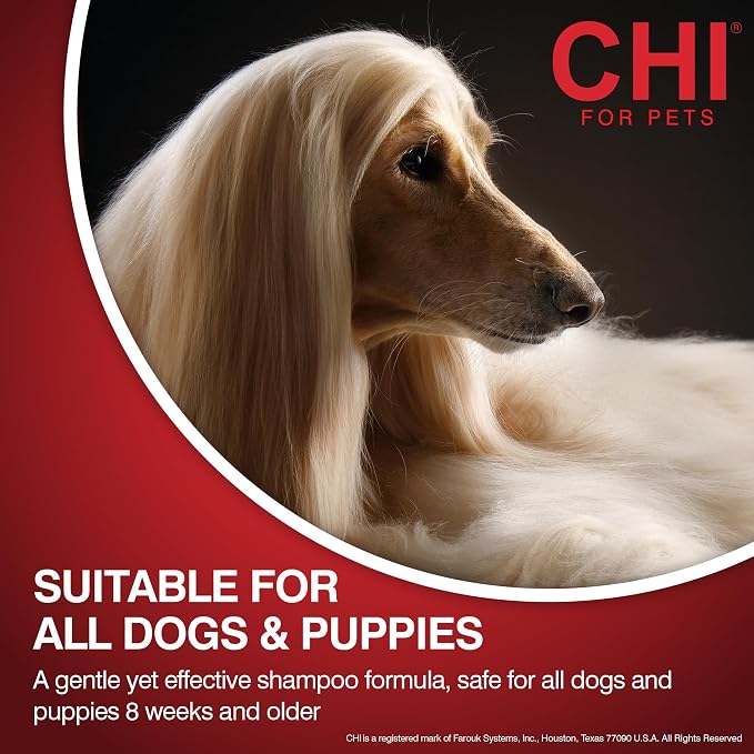 CHI for Dogs Oatmeal Shampoo Gentle Dog Wash Dry Itchy Skin and Dander Relief Soothing Formula Puppies 8 Weeks and Adult Dogs All Coat Types 16 FL OZ USA Grooming Routine Grooming Home Use
