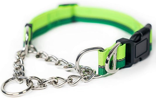 Mighty Paw Martingale Dog Collar 2.0 | Trainer Approved Limited Slip Collar with Stainless Steel Chain & Heavy Duty Buckle - Modified Cinch for Gentle & Effective Pet Training - Large, Green