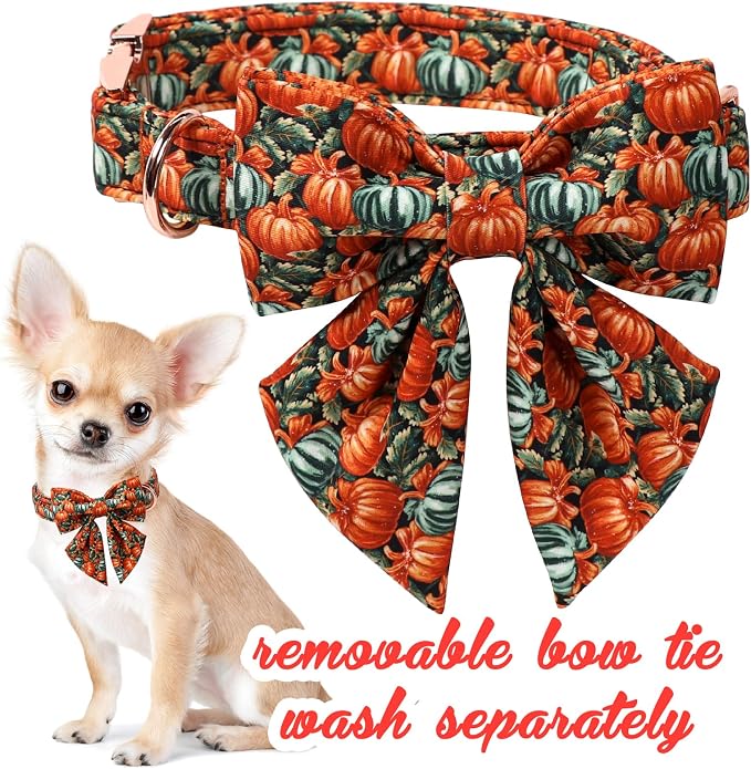 Unique style paws Cartoon Dog Collar with Bowtie Autumn Halloween Puppy Collar with Oil Painting Pumpkin for Small Medium Large Boys Girls Dogs