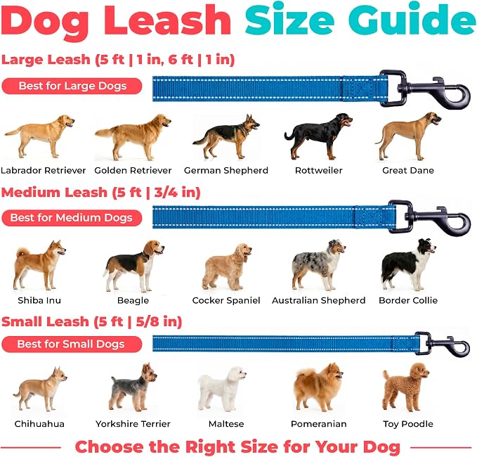 Best Pet Supplies Voyager Reflective Dog Leash or Collar with Neoprene Handle, for Small, Medium, and Large Breed Puppies, Cute and Heavy Duty for Walking, Running and Training - Royal Blue (Leash), L
