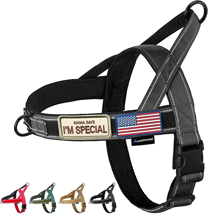 Annchwool No Pull Dog Harness with Soft Padded Handle-Reflective Strip Escape Proof and Quick Fit to Adjust Dog Harness-Easy for Training Walking for Small & Medium and Large Dogs(Black,XS,1 In Width)