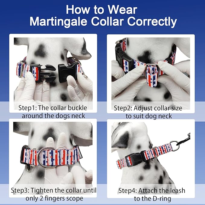 American Flag Martingale Collar 4th of July Star Holiday Dog Collar with Buckle Adjustable Pet Collars (Red Blue Patriotic Stripes, Medium)
