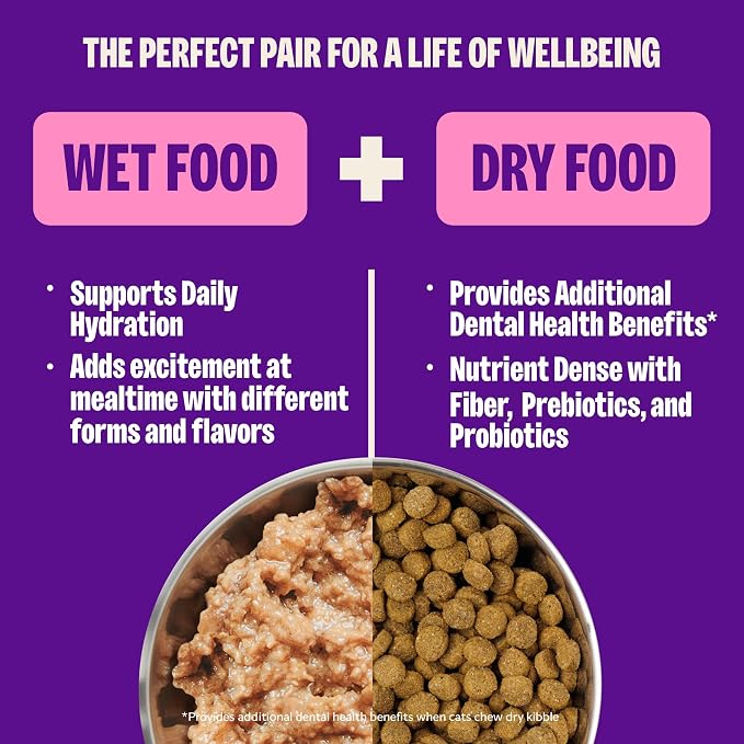 Wellness Complete Health Pate Adult Canned Wet Cat Food, Natural, Protein Rich, Grain Free, Turkey and Salmon Entrée Recipe, 5.5 oz, Pack of 24 Cans
