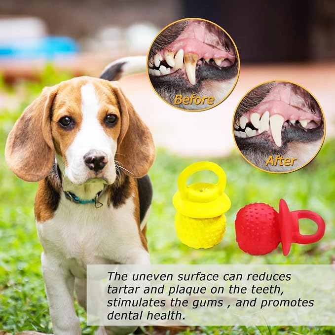 Latex Chew Dog Toys, Novelty Squeaky Pacifier Dog Toys for Teething Puppies, Mild Chewing Small, Medium, Large Dogs, Pet Dogs Supplies Newborn Puppy Gift (Red+Yellow 2 Pcs)