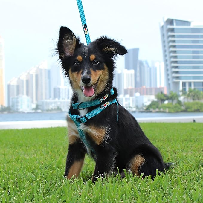 Pawtitas Recycled Reflective Step-in Dog Harness – Adjustable No-Pull Vest for Puppies to Seniors, Safe & Comfortable M Coral