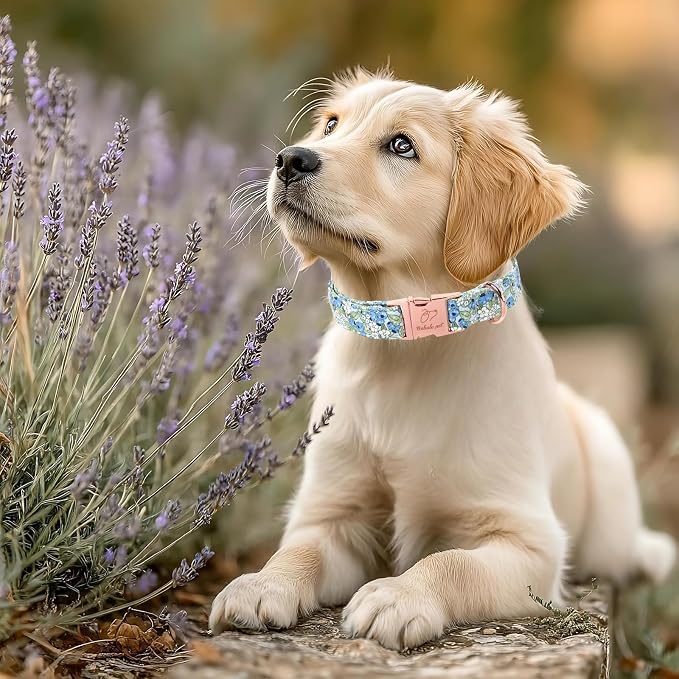 Blueberry Garden Dog Collar, Spring/Summer Cottagecore Floral Dog Collars, Adjustable Heavy Duty Girl Dogs Collar for Small Medium Large Dogs with Metal Buckle S