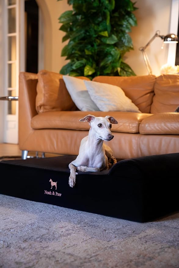 NOAH & PAW Large Dog Bed, 35x25x8.7 Inch, Orthopedic Dog Beds, Eggshell Memory Foam Infused with Cooling Gel, Water Resistant, Machine Washable, Includes Inner Cover (Denim Collection)