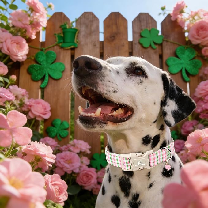 Maca Bates Pastel Plaid Dog Collar with Clover Charm,Pink and Green Gingham Pattern for Small Girl Boy Dogs,Adjustable Durable Soft Checkered Collars Spring Gift for Male Female Puppy